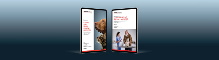 Acquisition Landing Hero