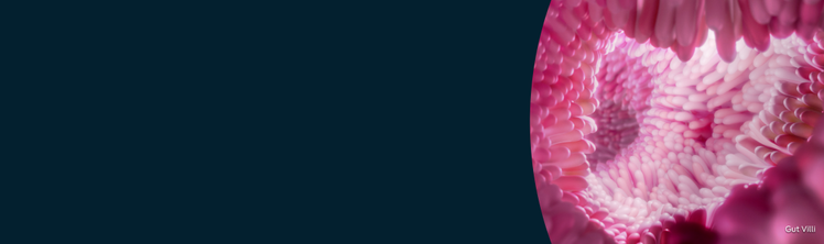 Drupal 11 test - Hero Card