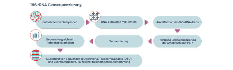 Sequenzierung des 16s rRNA-Gens