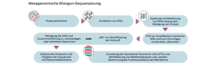 Metagenomische Schrotschuss-Sequenzierung