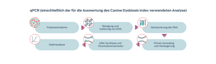 qPCR (including that used for evaluating the Canine Dysbiosis Index) graphic