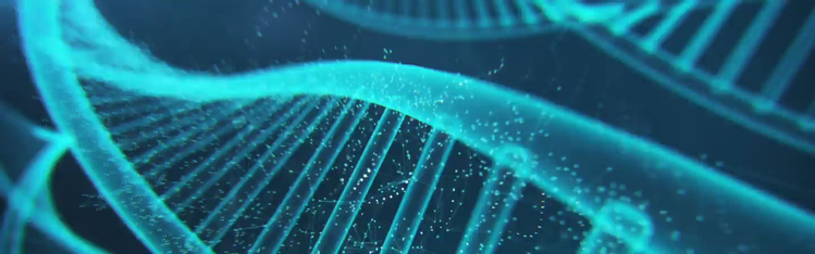 Explorando a nutrição molecular