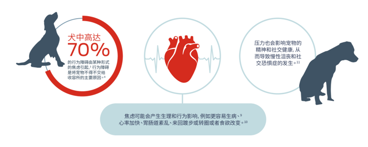 多达 70% 的犬行为障碍可归因于某种形式的焦虑,5行为障碍是将宠物交给收容所的主要原因。8焦虑可能导致生理和行为影响,例如越来越容易生病、9心率升高、胃肠道紊乱、踱步或转圈或食欲改变。10压力也会影响宠物的心理健康和社会幸福感,导致患上长期沮丧和社会恐惧症。11