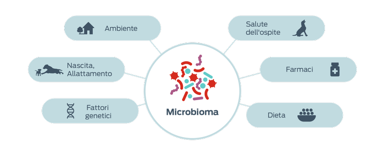 icona fattori che influenzano i microbiomi