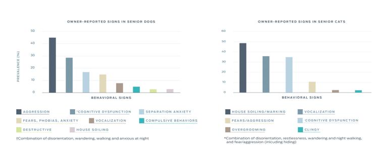 brain-health-behavioral-charts