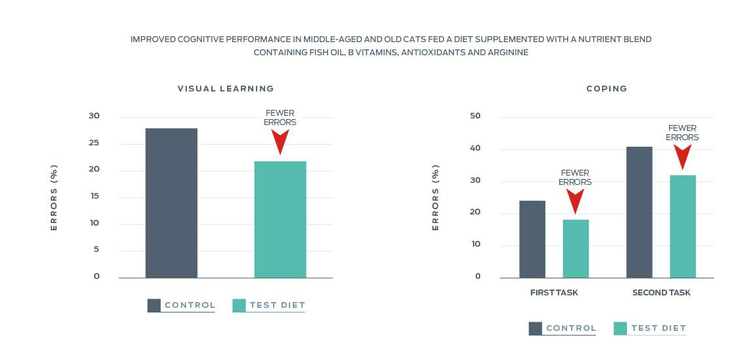 purina-institute-improved-cognitive-performance