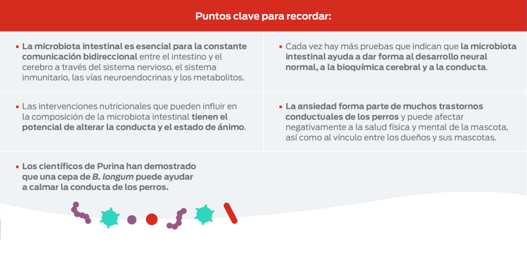 puntos clave para recordar