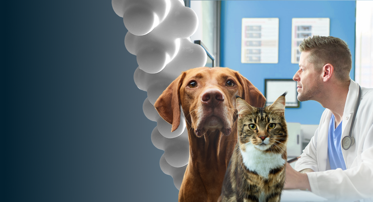 Putting the Power of Nutrition Science Into Practice