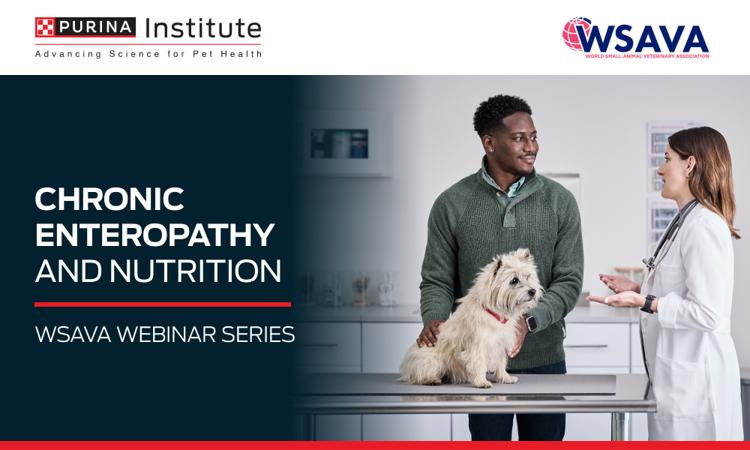 Chronic Enteropathy and Nutrition – 26 August 2026