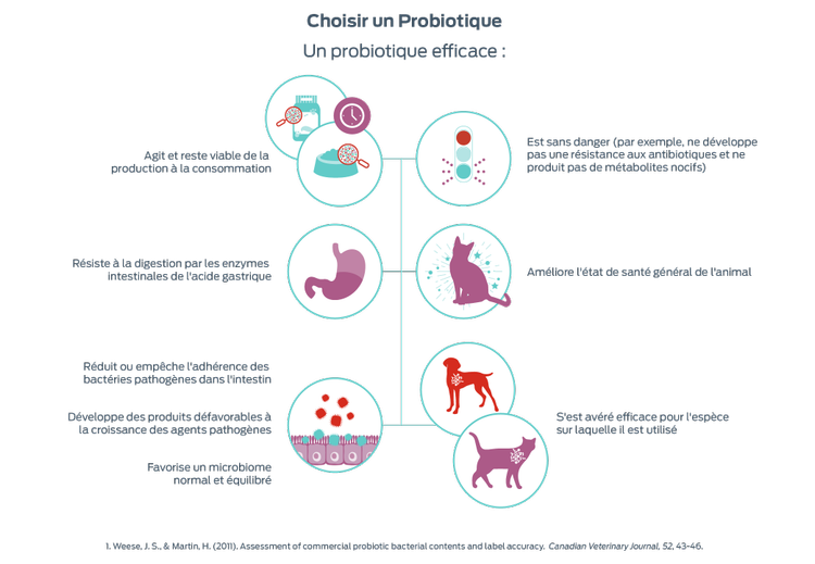 choisir un probiotique