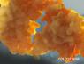 gut-landing_colostrum_v2.jpg