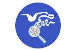 gut microbiome icon