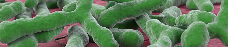 asse intestino-cervello dell'istituto purinico