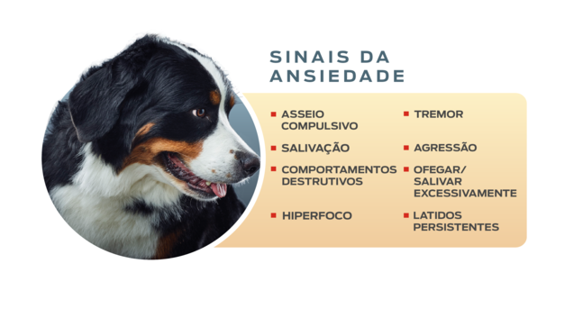 sinais de ansiedade