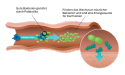 purina-institute-verdauung