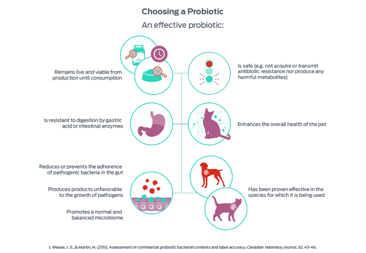 choosing a probiotic