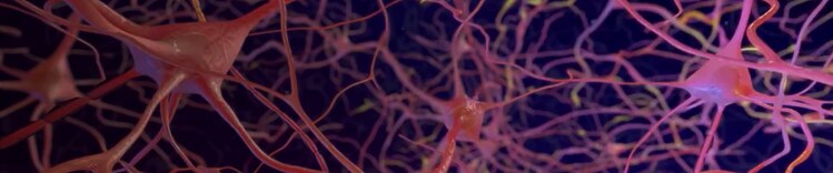 advancing-the-brain