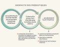avantages-des-prébiotiques