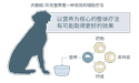 犬癫痫病图