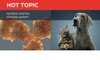 nutrition and immune system