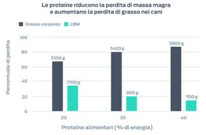 LBM