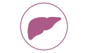 pictogramme de couleur violette illustrant le foie d'un chat