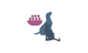 dog cat food icon
