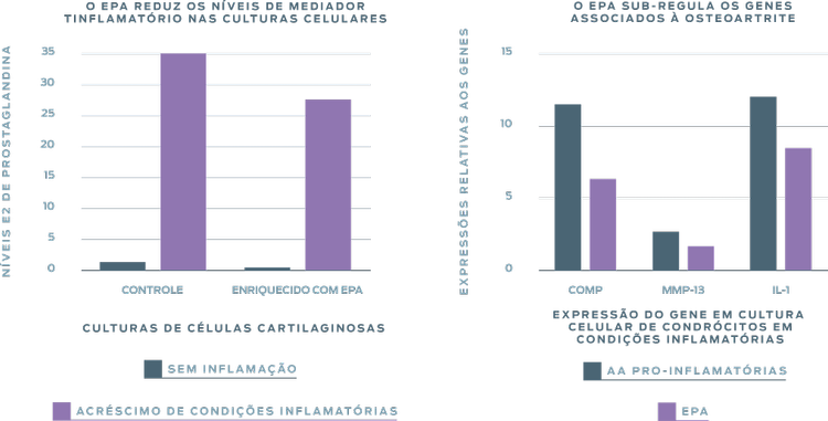 gráfico purina