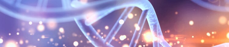 dna banner