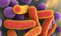 microbiome
