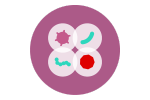 Symbol „Woraus besteht das Mikrobiom“