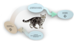 probióticos-gato