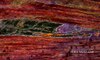 tecido muscular