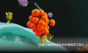 嘌呤酶研究所蛋白组学细胞因子蛋白