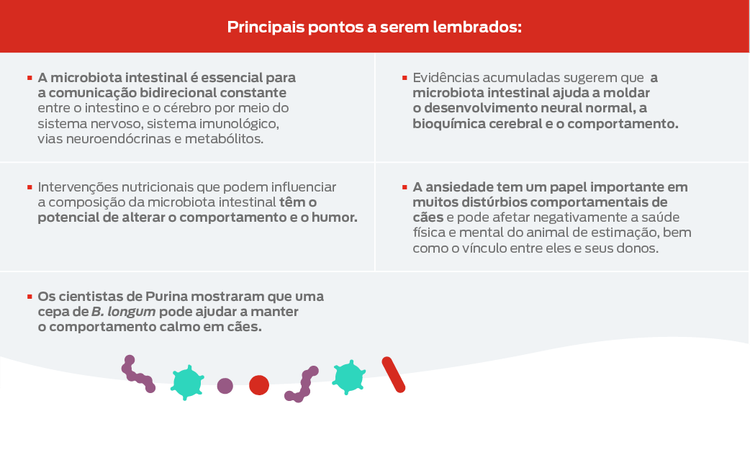 principais itens a serem lembrados