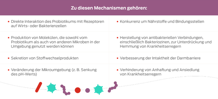 Tabelle „Mechanismus“