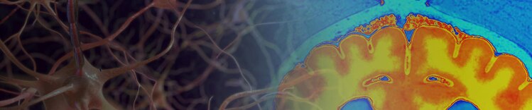 purina institute brain conditions