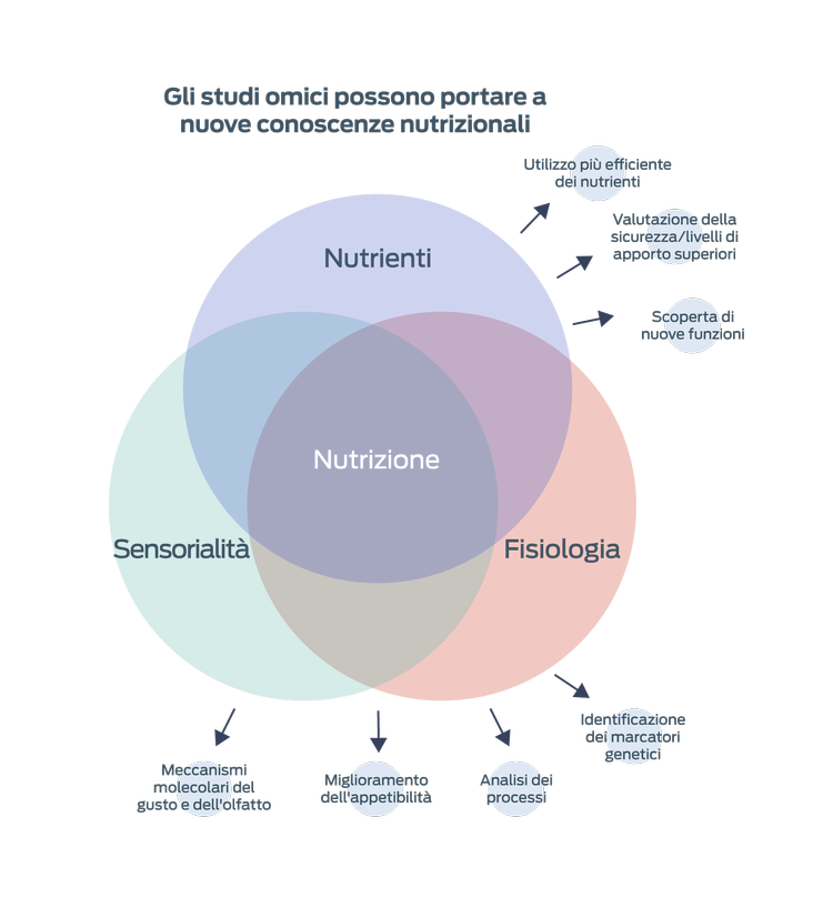 Omics studia il diagramma di Venn italiano