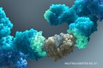 Neutralisiertes Fel d 1