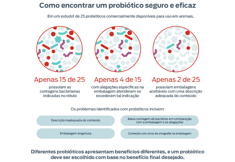 encontrar um probiótico seguro e eficaz