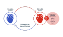 gráfico do coração idoso