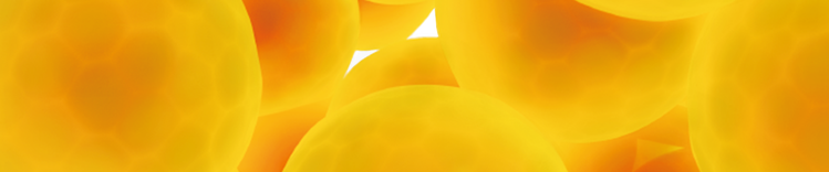 Weight-Related Conditions - Banner