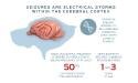 purina-institute-seizures.jpg