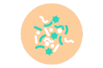 Symbol „Ausgeglichenes Mikrobiom“