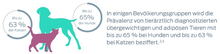In einigen Bevölkerungsgruppen wird die Prävalenz von tierärztlich diagnostiziertem Übergewicht und Fettleibigkeit bei Hunden mit bis zu 65% und bei Katzen mit bis zu 63% angegeben. Fußnoten 2 und 3