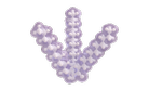 medium chain triglycerides