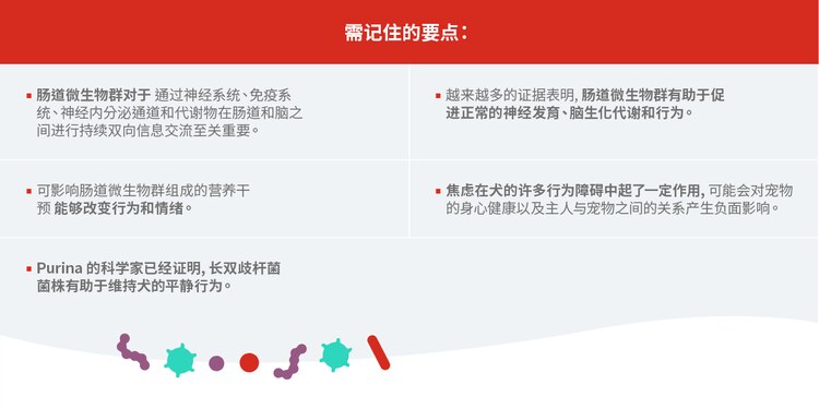 需记住的要点