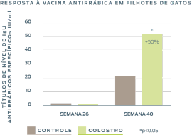 raiva-vacina-em-gatinhos-imunidade-colostro