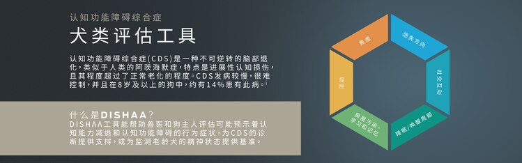 犬类评估工具