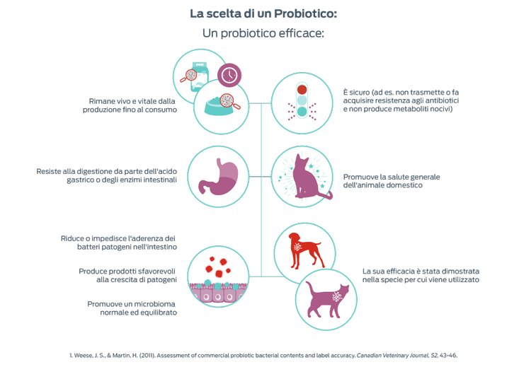 scegliere un probiotico corretto